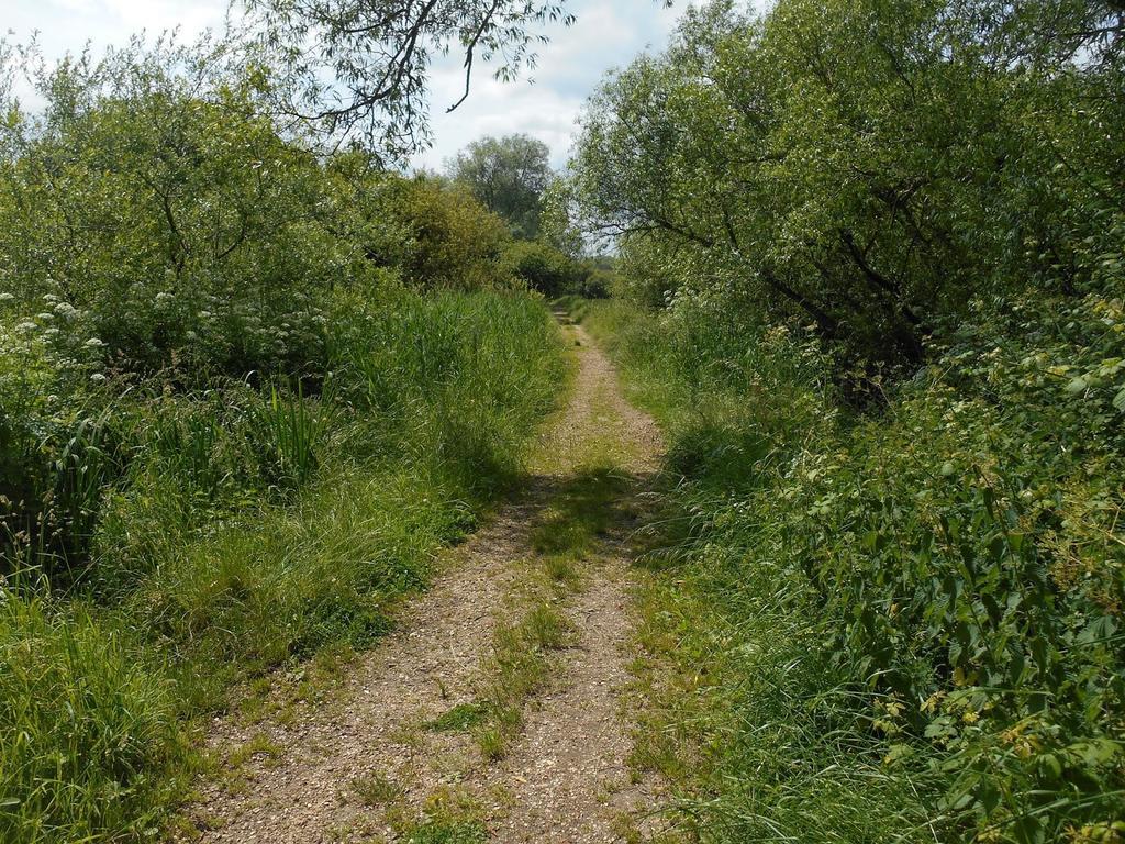 Shirley Apartments, Cozy Studio, Self Check In, 10 Min Drive To City Centre, Walking To Redbridge Train Station Southampton Exteriör bild